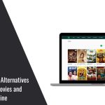 Best Zoechip Alternatives
