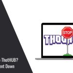 What HappenedWhat Happened to ThotHUB? Why the Site Went Down to ThotHUB? Why the Site Went Down