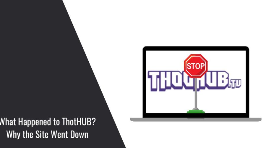 What HappenedWhat Happened to ThotHUB? Why the Site Went Down to ThotHUB? Why the Site Went Down