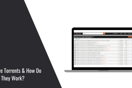 What Are Torrents & How Do They Work?