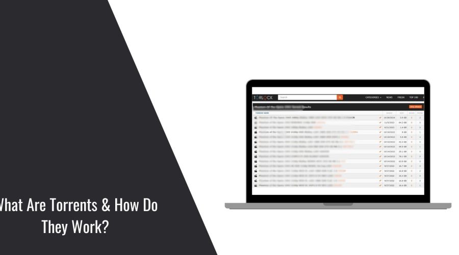 What Are Torrents & How Do They Work?